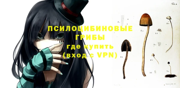 дмт Алексеевка