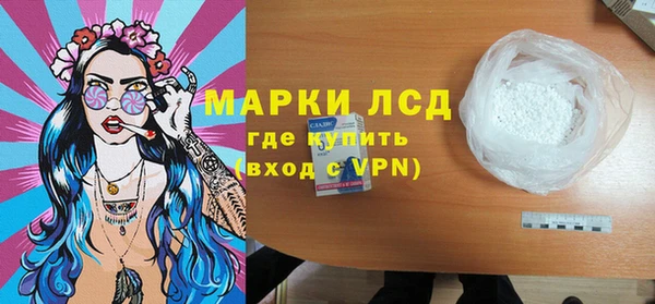 стаф Алзамай