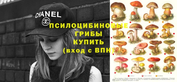 PSILOCYBIN Алексин