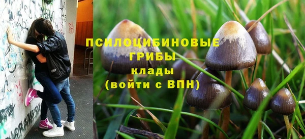 стаф Алзамай