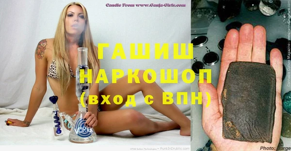 стаф Алзамай