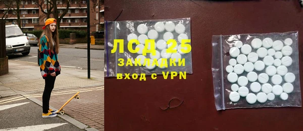 стаф Алзамай