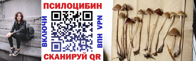 Псилоцибиновые грибы MAGIC MUSHROOMS продажа наркотиков Тюкалинск